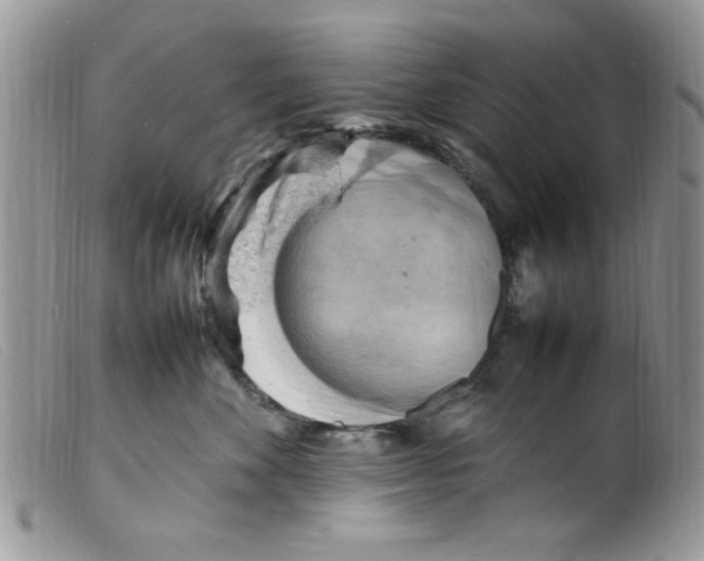 X0000098160524200805151232