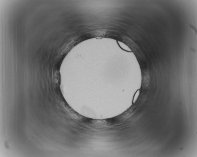 X0000098160525200805151232