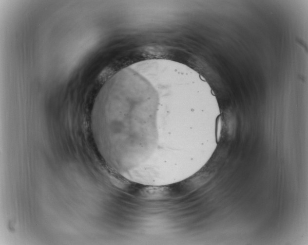 X0000098160526200805151232