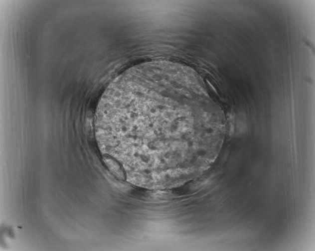 X0000098160527200805151232