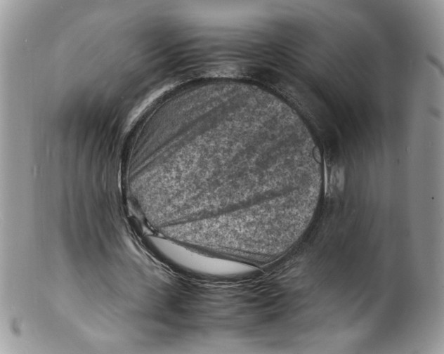 X0000098160531200805151231