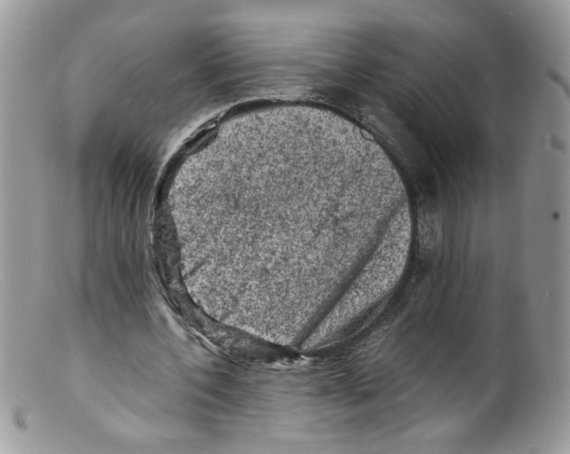 X0000098160532200805151231