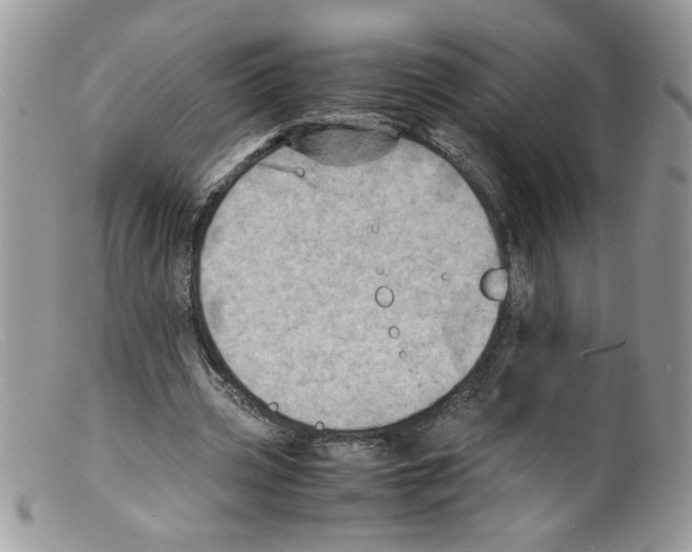 X0000098160533200805151231