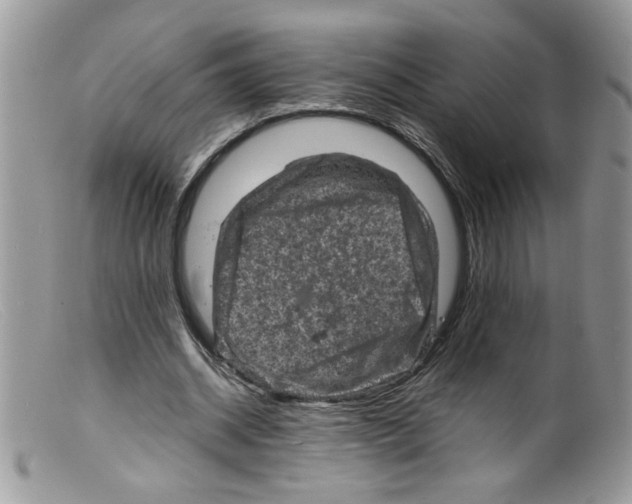 X0000098160534200805151231