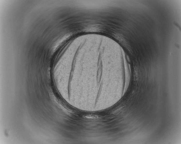 X0000098160535200805151231