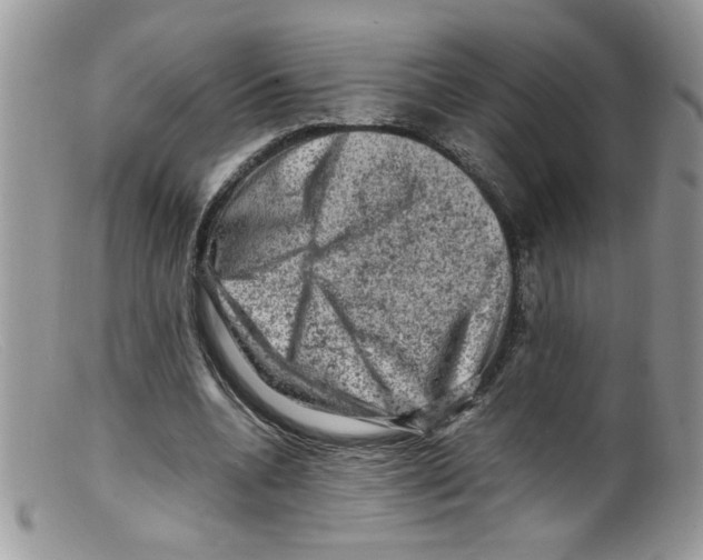 X0000098160536200805151231