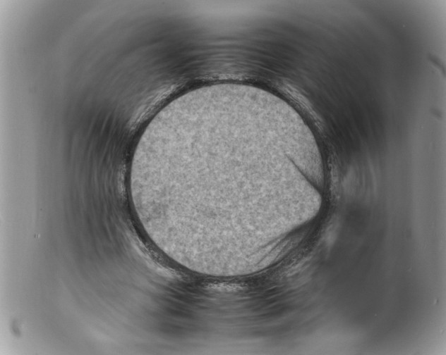 X0000098160537200805151231