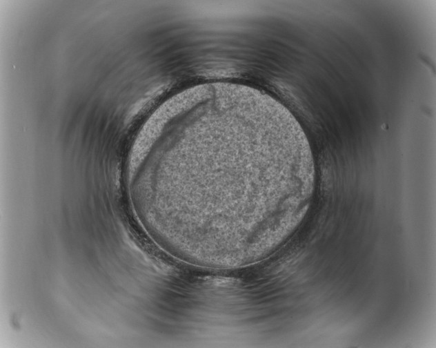 X0000098160539200805151231