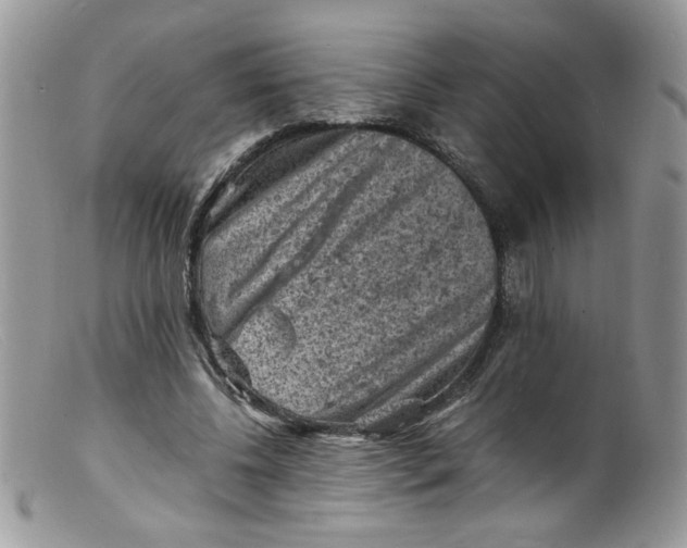 X0000098160540200805151231