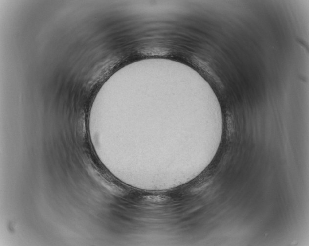 X0000098160541200805151231