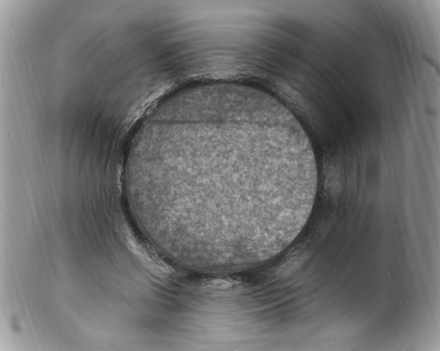 X0000098160542200805151231