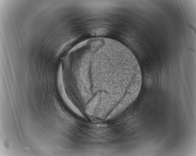 X0000098160543200805151231