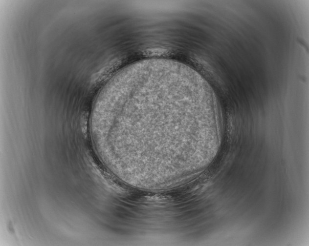 X0000098160545200805151231