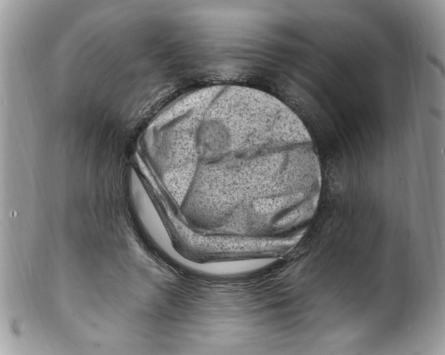 X0000098160546200805151231