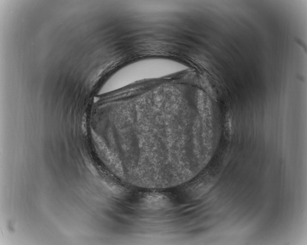 X0000098160547200805151231