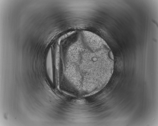 X0000098160548200805151231