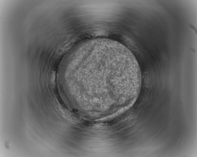 X0000098160550200805151231