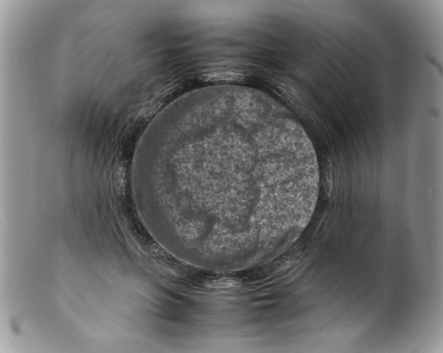 X0000098160551200805151231