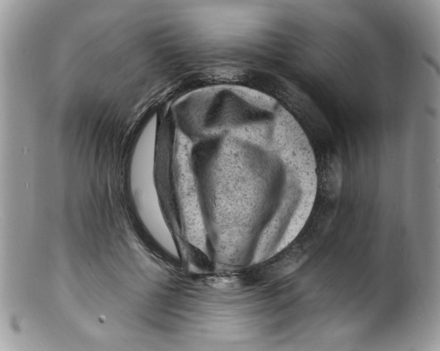 X0000098160552200805151231