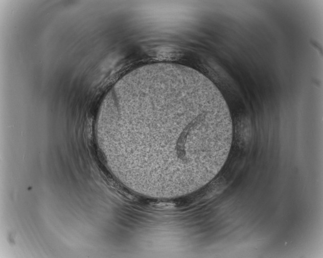 X0000098160554200805151231