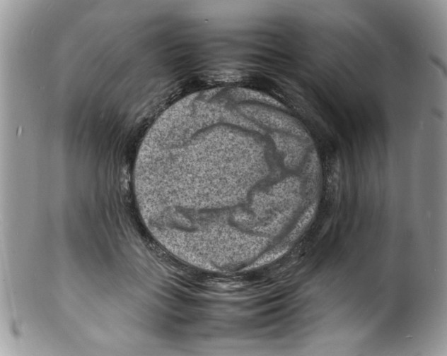 X0000098160555200805151231