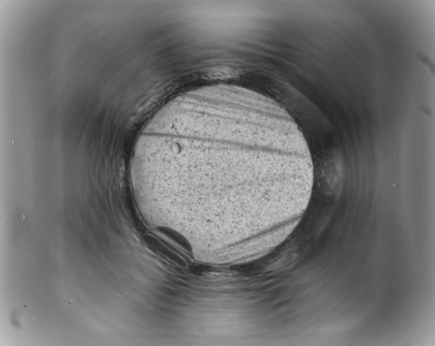 X0000098160556200805151231