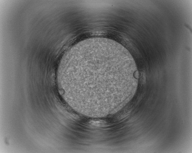 X0000098160557200805151231