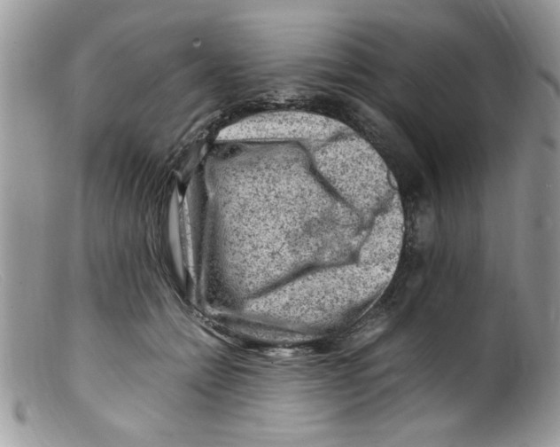 X0000098160558200805151231