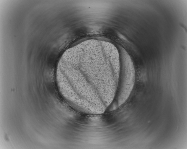 X0000098160560200805151232