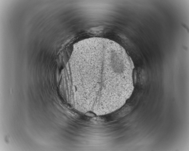 X0000098160562200805151232