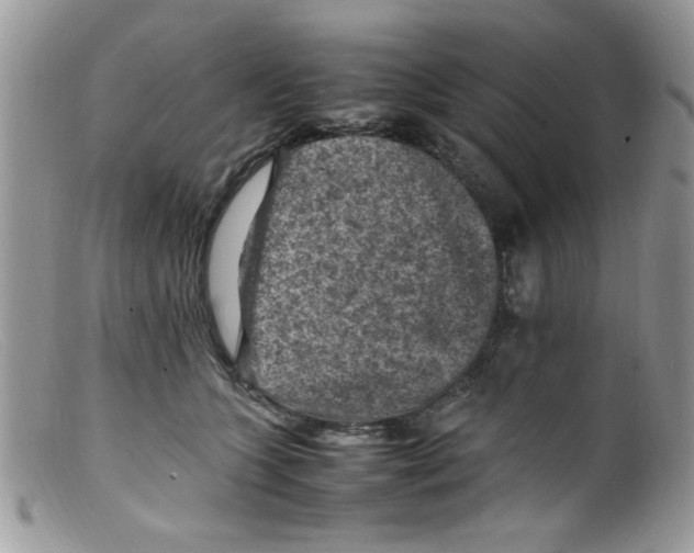 X0000098160563200805151232