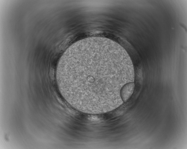 X0000098160565200805151232