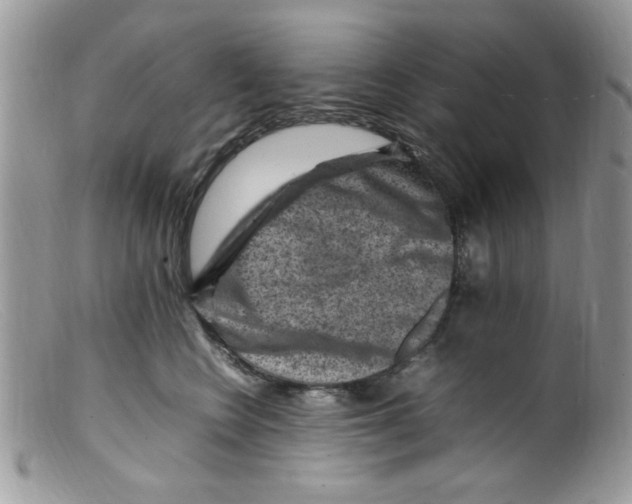 X0000098160566200805151232