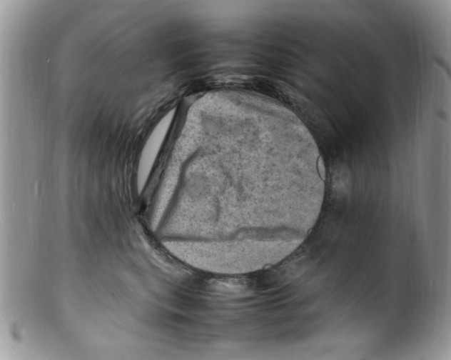 X0000098160567200805151232