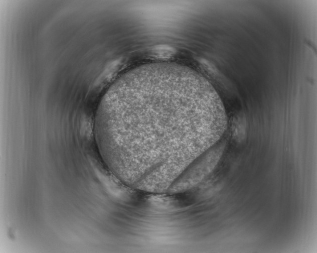 X0000098160568200805151232