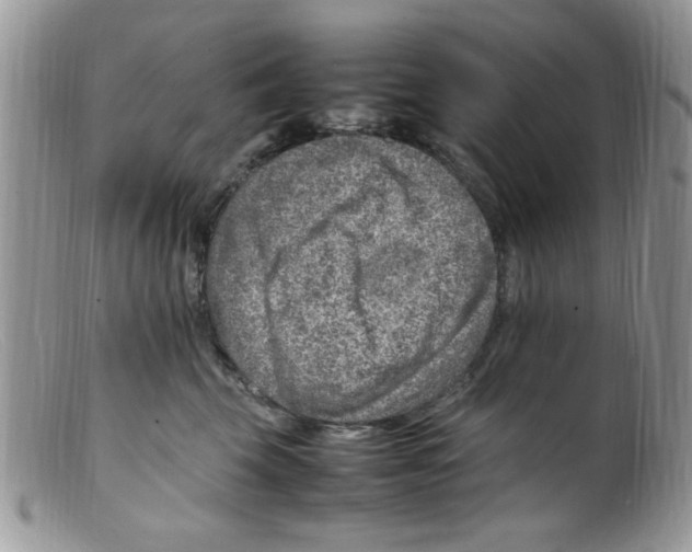 X0000098160569200805151232