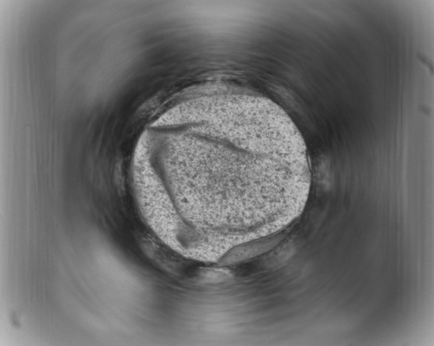 X0000098160572200805151232