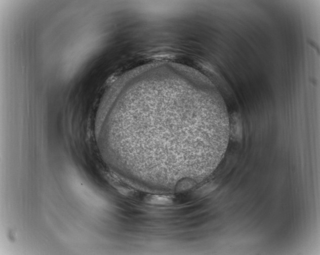 X0000098160573200805151232