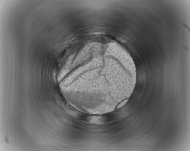 X0000098160575200805151232