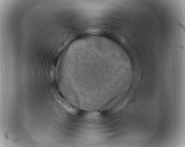 X0000098160576200805151232