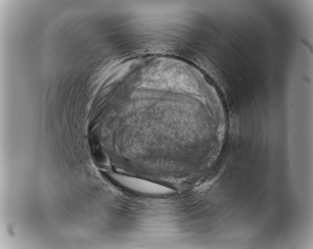 X0000098160577200805151231