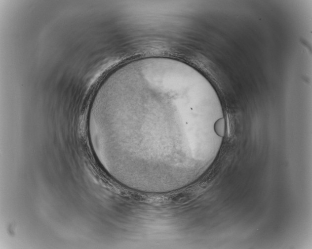 X0000098160579200805151231