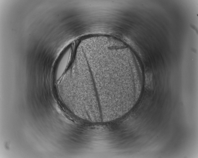 X0000098160580200805151231