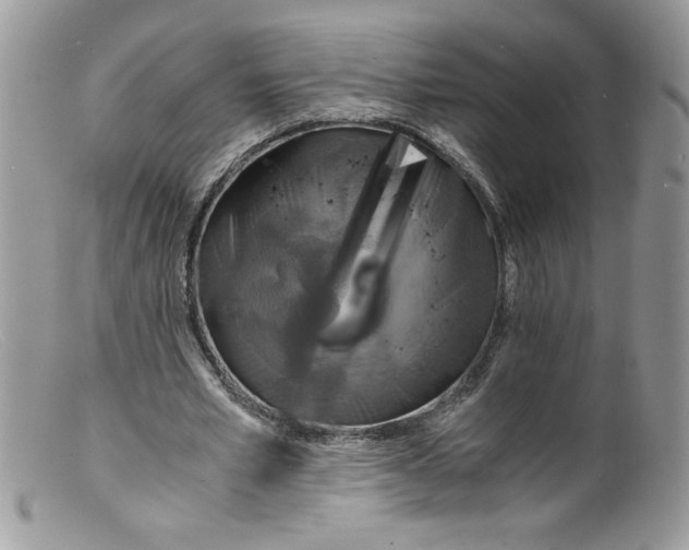 X0000098160581200805151231