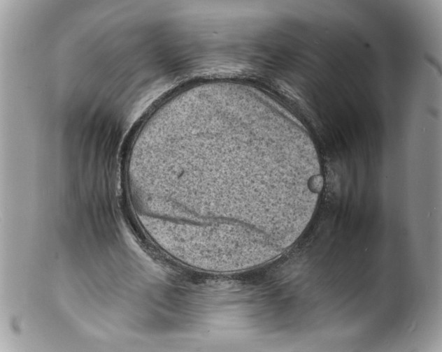 X0000098160582200805151231