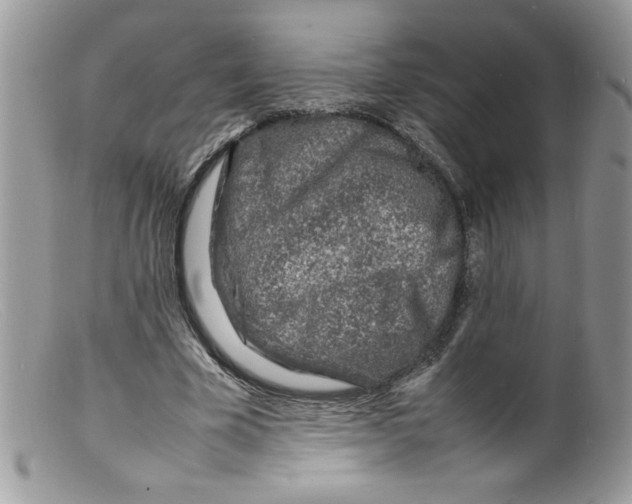 X0000098160585200805151231