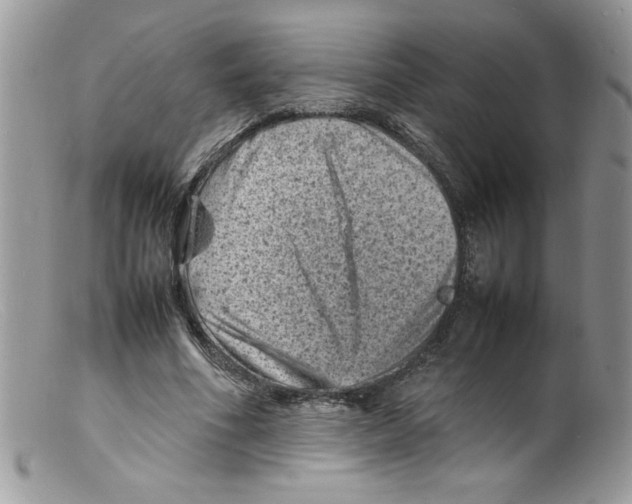 X0000098160586200805151231