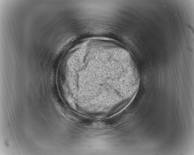 X0000098160591200805151231