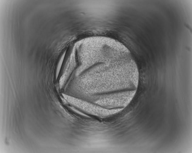 X0000098160593200805151231