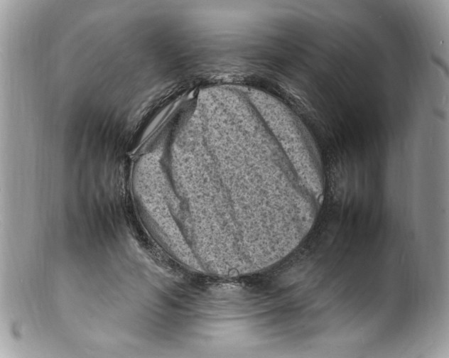 X0000098160594200805151231